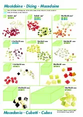 robot-coupe-27513w-food-processor-disc-plate-dicing-specsheet-250914b8lupg.pdf